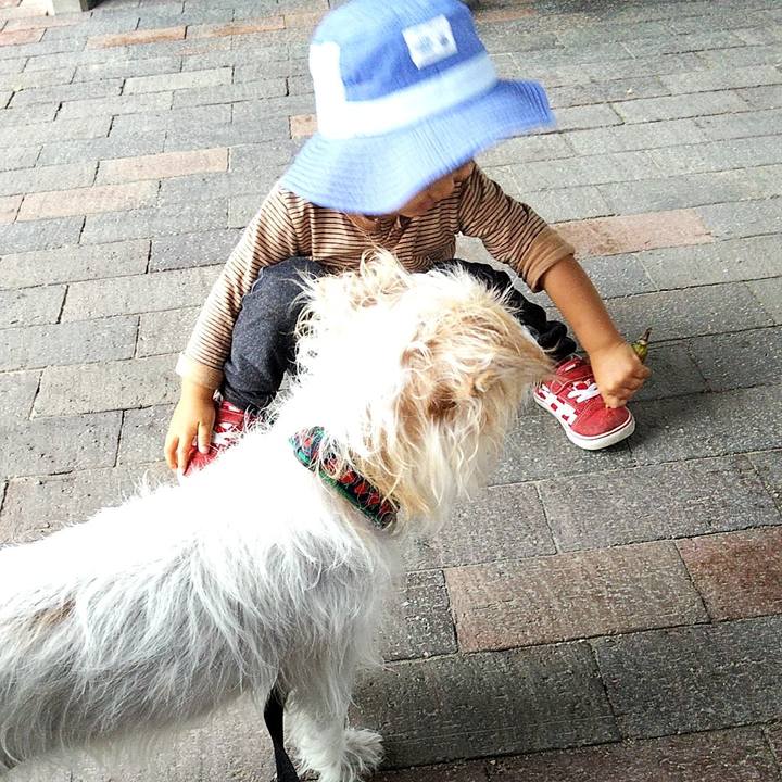 Aaa9c39c 6c37 4dd0 9319 8c0a17e047b0 1569146654033