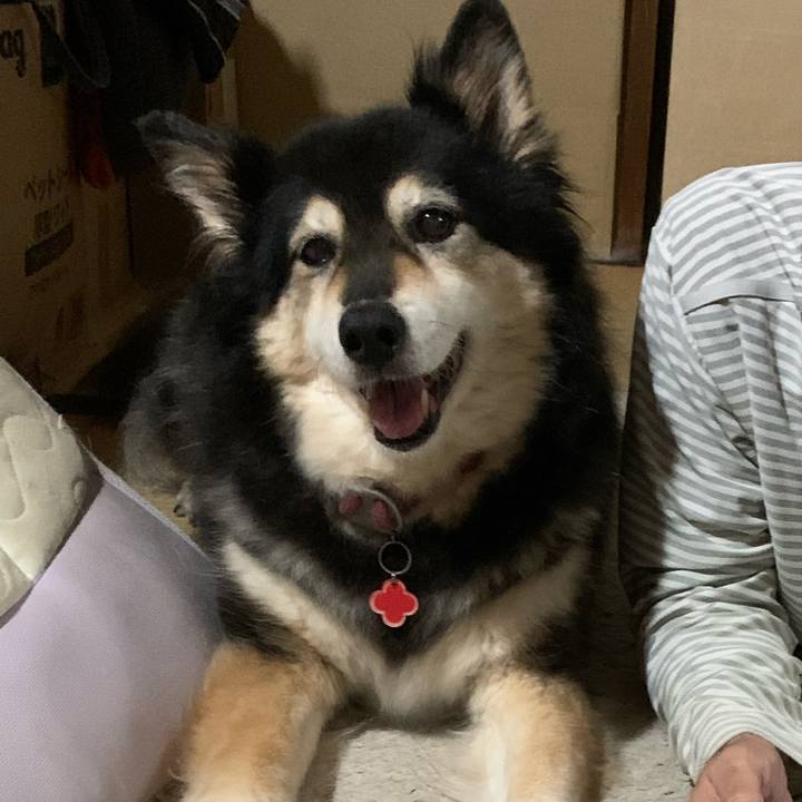 Aaa9c8e7 9903 4794 9213 d081f619d64a 1654438821833