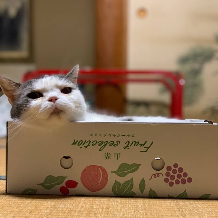 Aaa9df63 d287 4a22 85a7 aaaf107c0db8 1729890311333