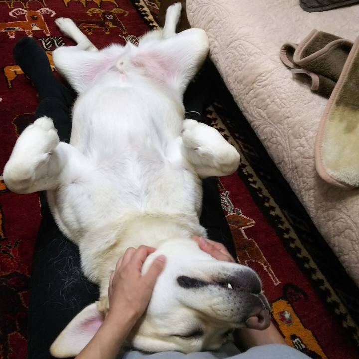 Aaa9ebdd 5418 43f0 8520 be2816febbce 1585048200640