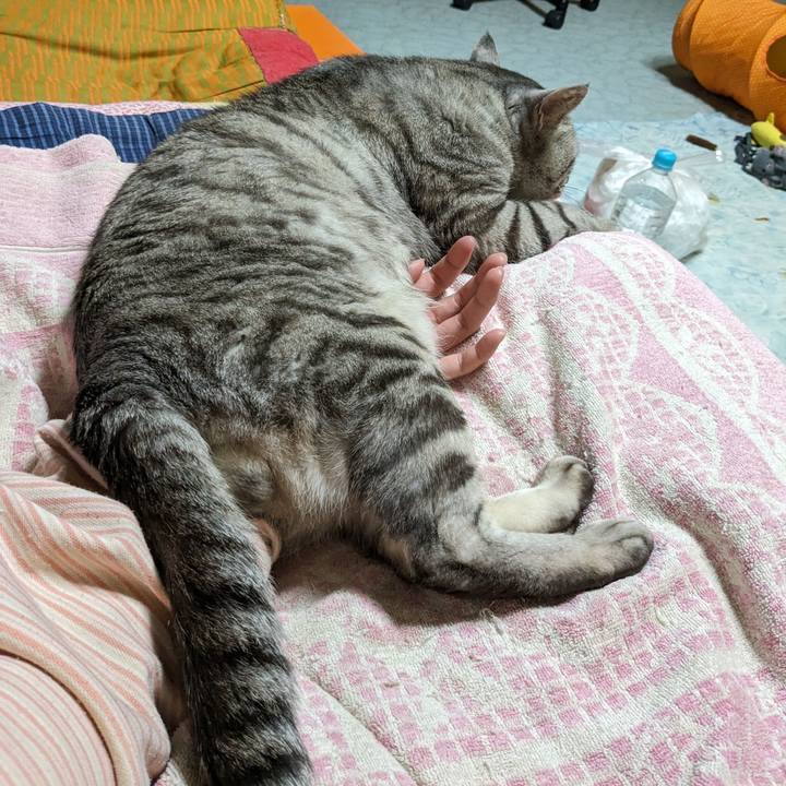 Aaaa3976 04cc 4019 9a35 4dfb617933ee 1713890372928