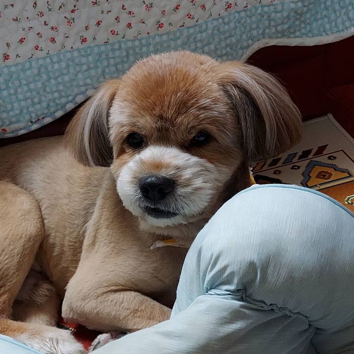 Aaaa9062 ae4b 4e20 8d7b 75876dd31f74 1630844387721