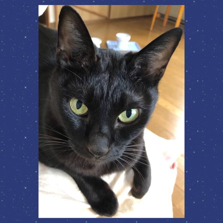 Aaaa9c32 b2b3 48b5 98f9 a528e067023c 1726371210740