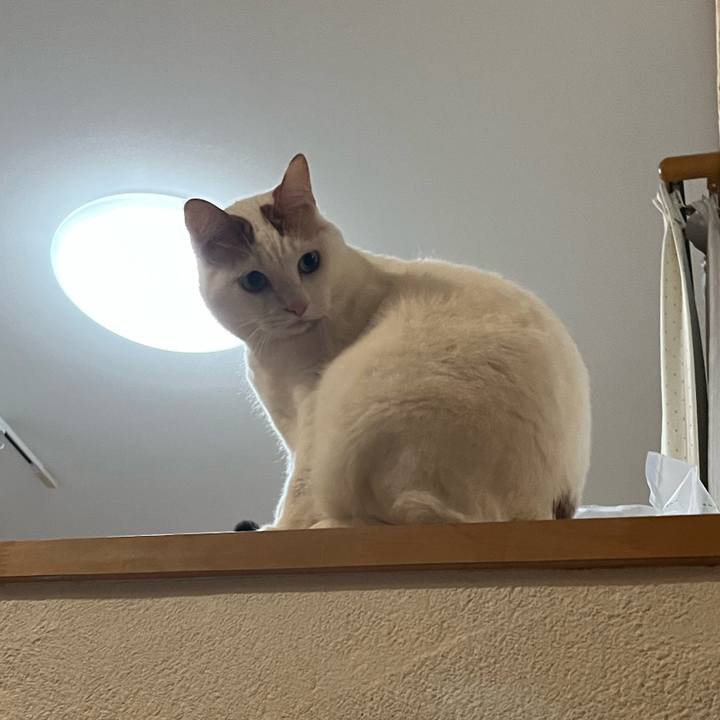 Aaaac283 38a3 4b61 b31d edfe0e438b17 1762844913322