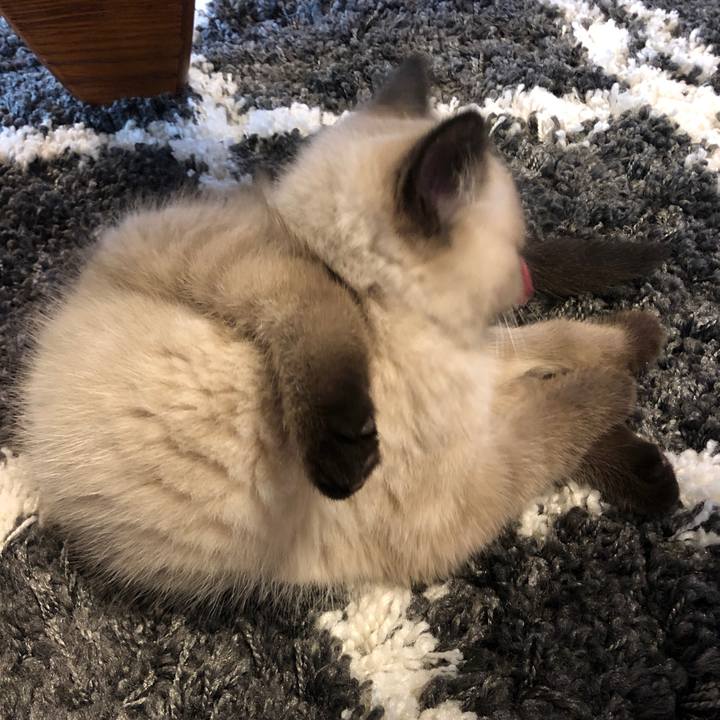 Aaaae135 d2a8 4734 bea3 93c441bcdd2a 1587084316850