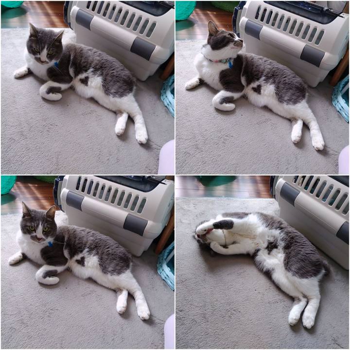 Aaab60c2 2eb6 431f 9e54 bde16dfc1fc0 1681618042739