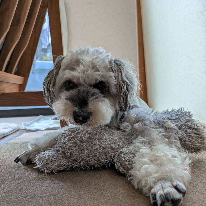 Aaab6f91 20d8 4c4c ba3a 148620fd566d 1753495026293