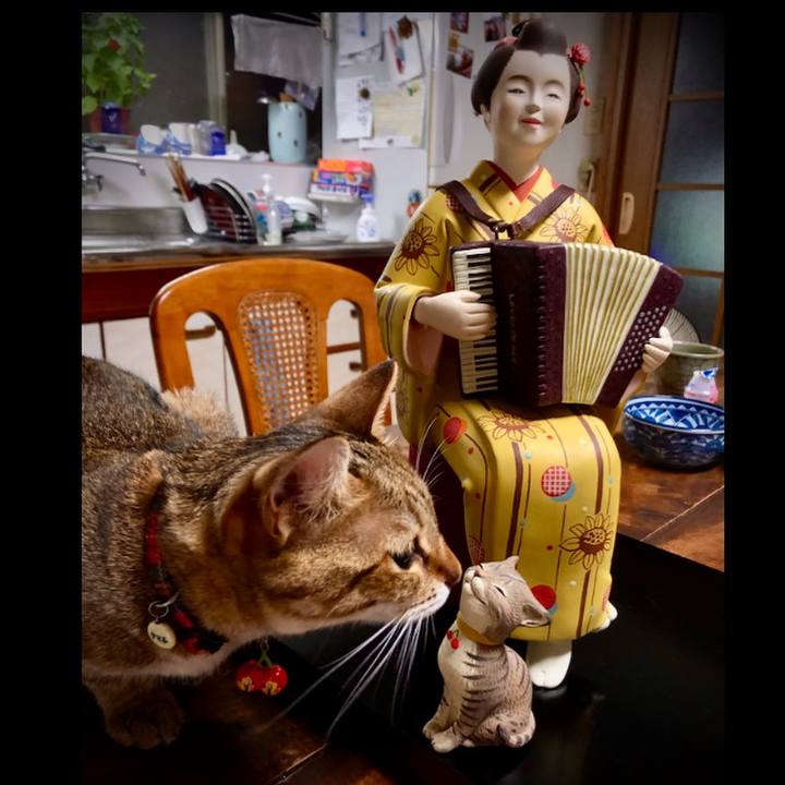 Aaab9dab beb1 4b1a 8443 b22b4a7dfc60 1660633143070