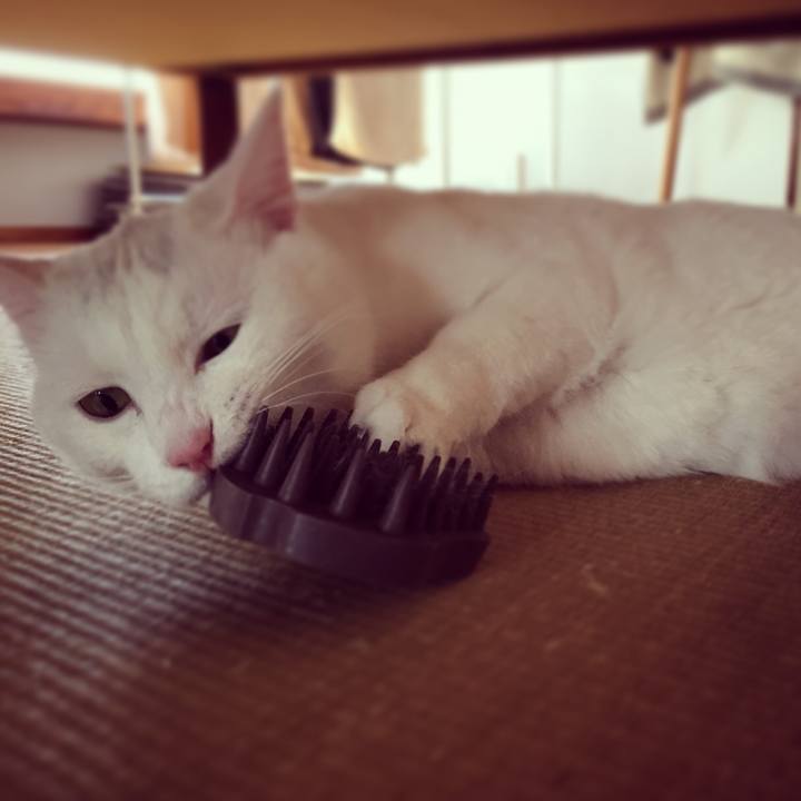 Aaabdbb9 c238 4564 bd60 e7dbc15f4f1b 1519259487152