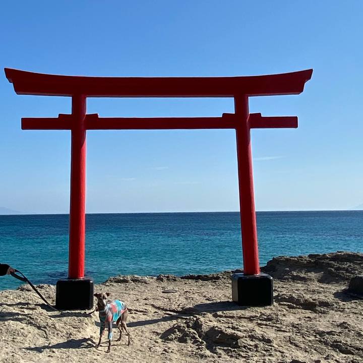 Aaabe23f 3fb4 49bf 87b9 21d0117bcfdb 1765163147441