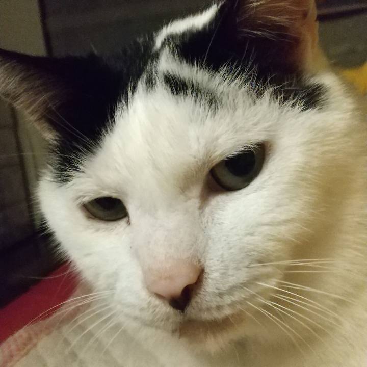 Aaac1125 ccda 487b b2ba b8dc30b7d018 1716034482010