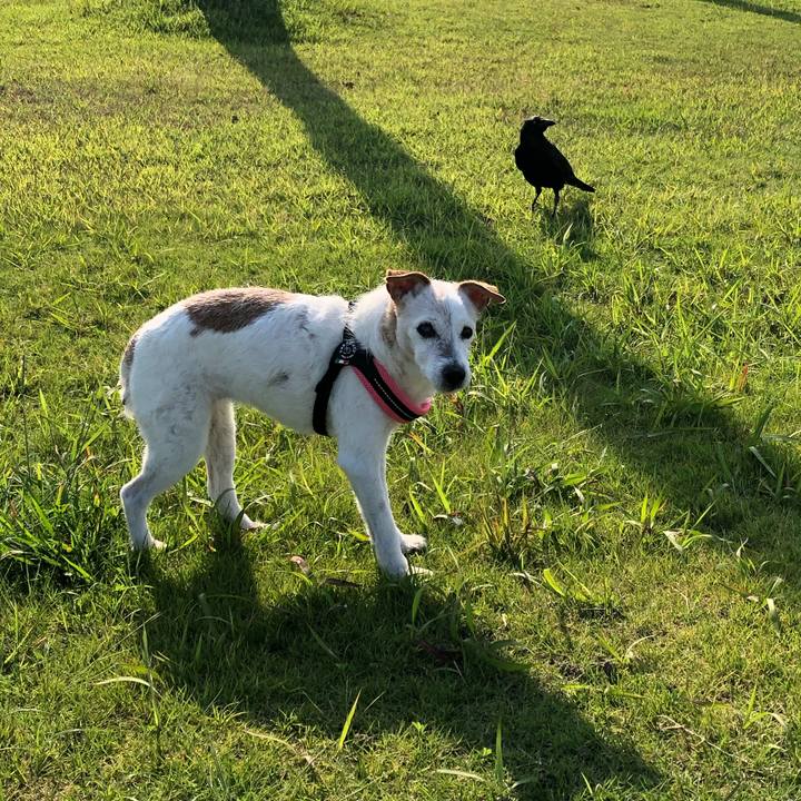 Aaac30fe 8990 4758 9ab4 16c1949e4bf4 1655025218832