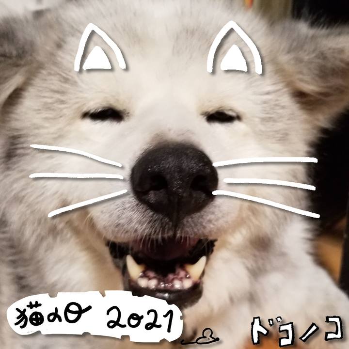 Aaac38b0 aa54 4744 b731 d1c2f9d4e4fc 1613962702203