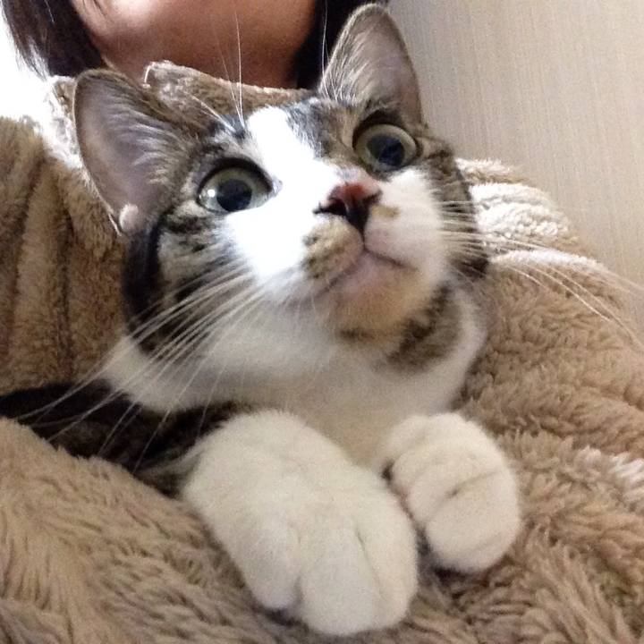 Aaac46e3 e07c 4c6a a466 393aa971d98c 1511051875356