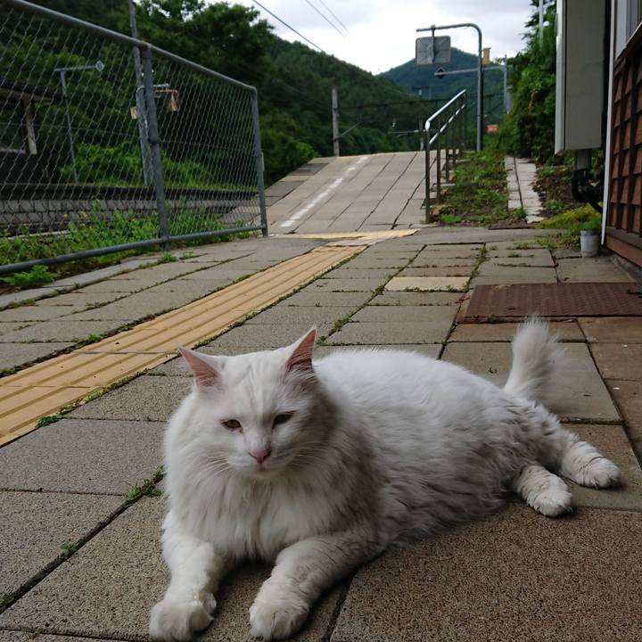 Aaac7111 247b 4d0e aafd 1cedf1a3a9c9 1530656917969