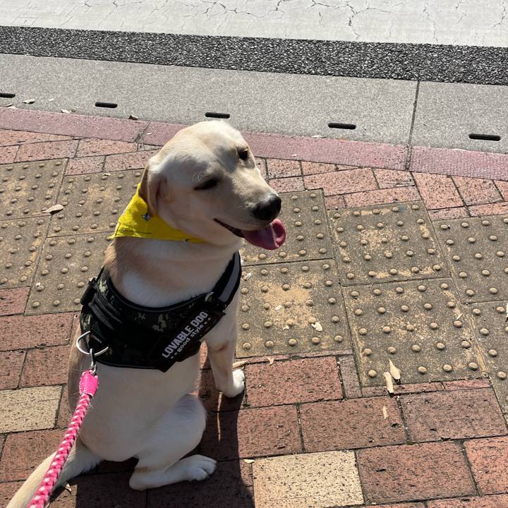 Aaac755f 3d7b 41fd b635 90537f13b999 1637315063843