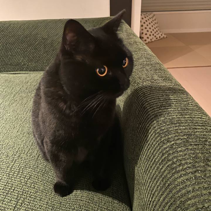 Aaacb0fe 40c8 46e9 bac1 1acb86e10dbe 1702815381188