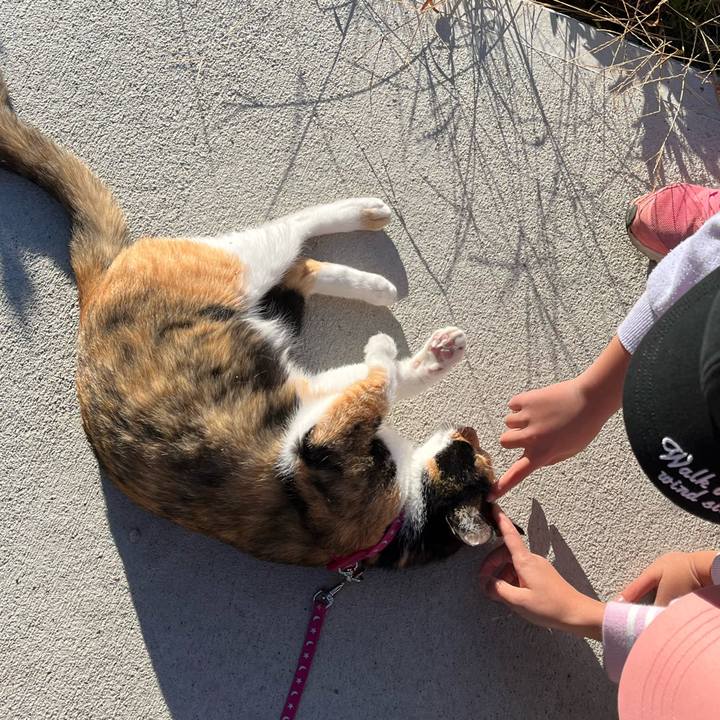 Aaacb63d 4444 48de 9605 9ee53e5da959 1666230767339