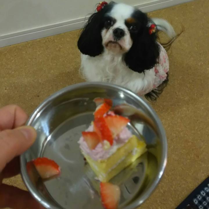 Aaacb73f 68af 4ab3 bc37 34905abd2b18 1514984247328