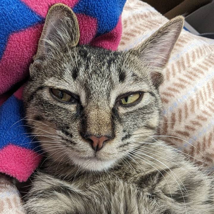 Aaacbe6b e3bc 4d7e acf2 0b691bff1b21 1709609901375