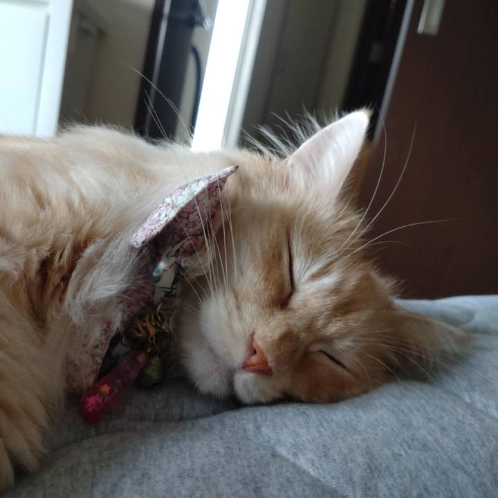 Aaacee97 93a5 4024 9117 2bbd7e020245 1757062588089