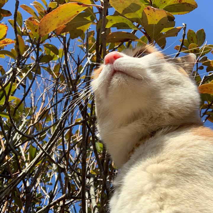 Aaad230b d8bc 4e6a a36c e30a6de06a10 1615091258089