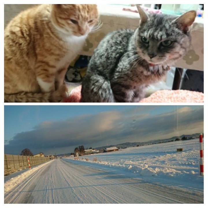 Aaad2851 2166 40e8 b791 86a9bf03678f 1581041431928