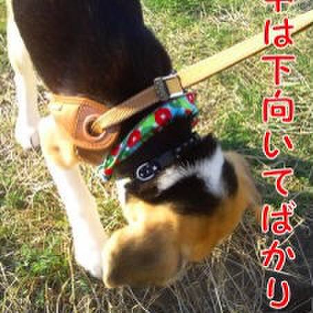 Aaad2d9c cff6 40b3 870c 530c2e87ceca 1678324240622