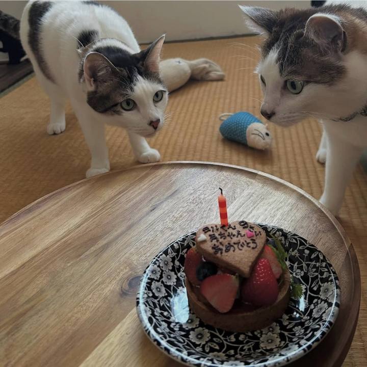 Aaad5c19 ddf3 4f9c a157 05c574da93e7 1747238570016