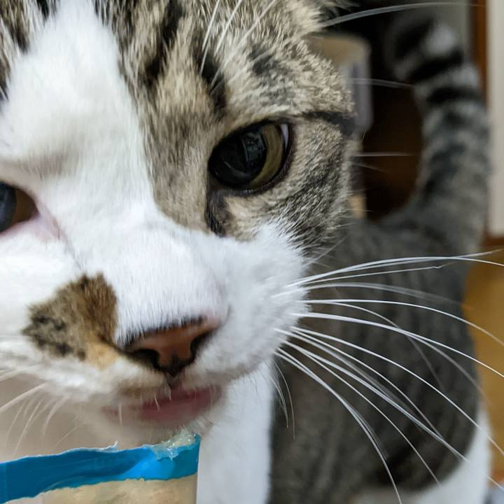 Aaad6b76 3af4 4a1e a815 b9687195e0ff 1668515715519