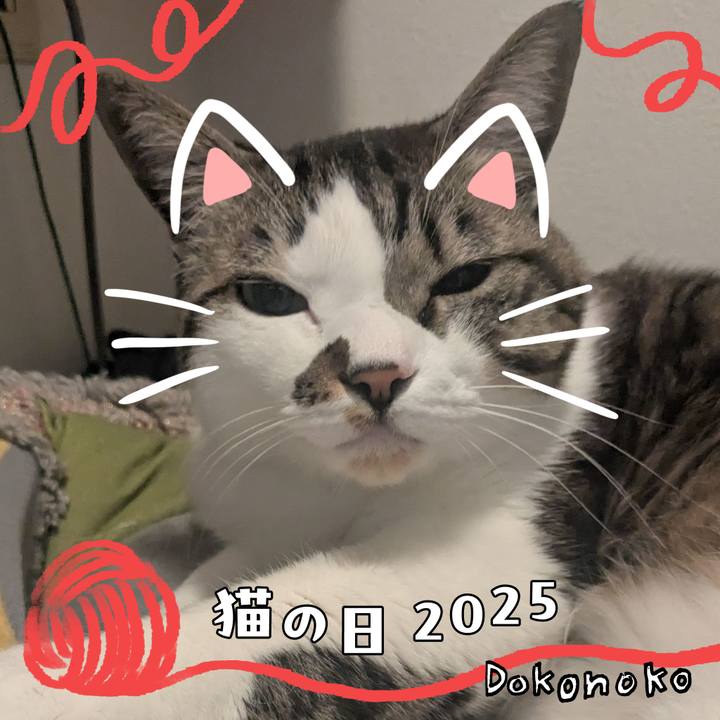 Aaade4e3 0ae1 48c5 8ce7 63c32a74502b 1740177799845