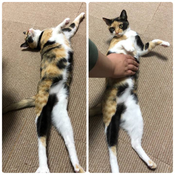 Aaae09fa 4621 40b3 b713 2a29356a0123 1525354288758