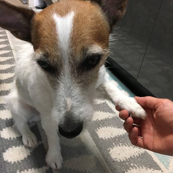 Aaae2652 4283 451b 92df 380a3ac6286a 1559532735210