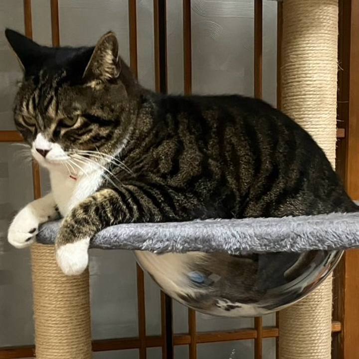 Aaae7158 b58e 4b79 a661 307b28e9c7e4 1765584585377