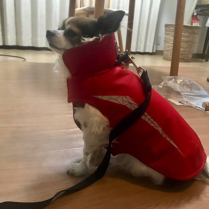 Aaaeaa40 b19f 4e56 81ef ad86f3742bf8 1639916327240