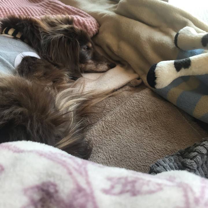 Aaaeaf0a 856e 44e5 a2c7 1048e65afd50 1585007716624