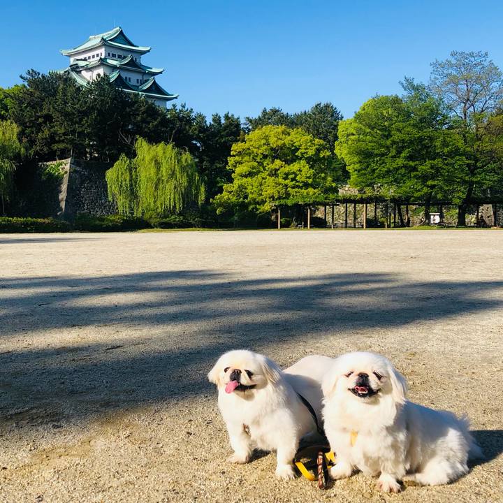 Aaaeaf5d 677a 4064 b1f4 9dae1a30250b 1620000791994