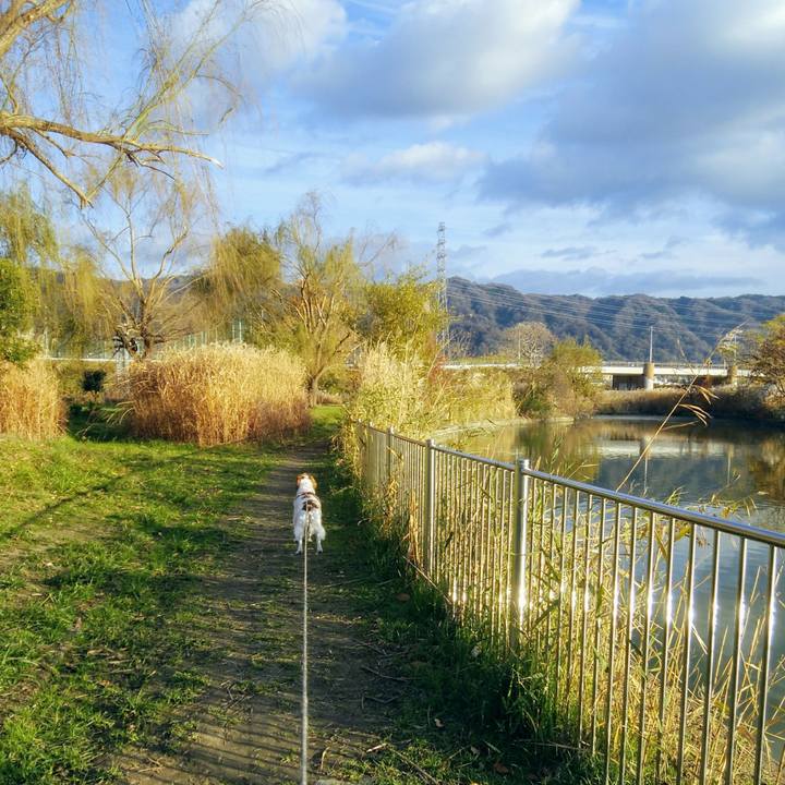 Aaaee064 b0d8 4508 a97d f4cdf96c0152 1544443800071