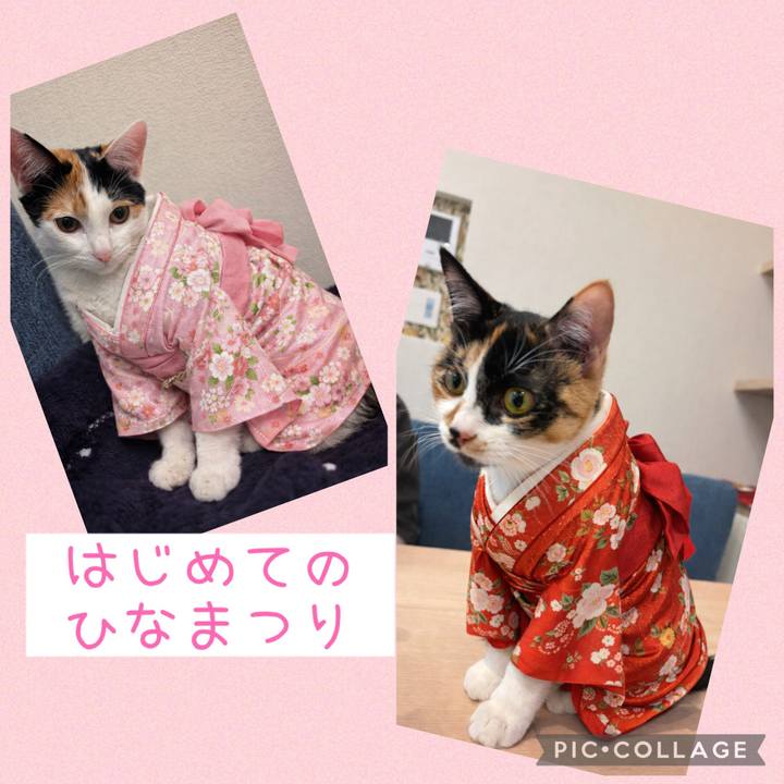 Aaaee362 140f 4ffe b282 d654f44c0995 1772522414006