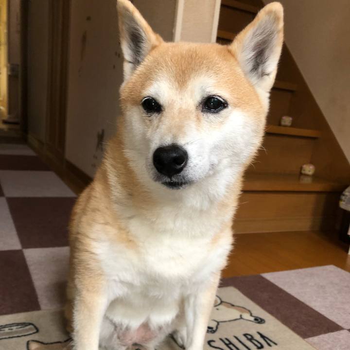 Aaaef6dd 45fc 4513 b89b a740d905030e 1600243557571