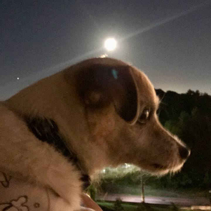 Aaaf10dc 3237 4ce3 b0ed d42770f3e735 1662813612435