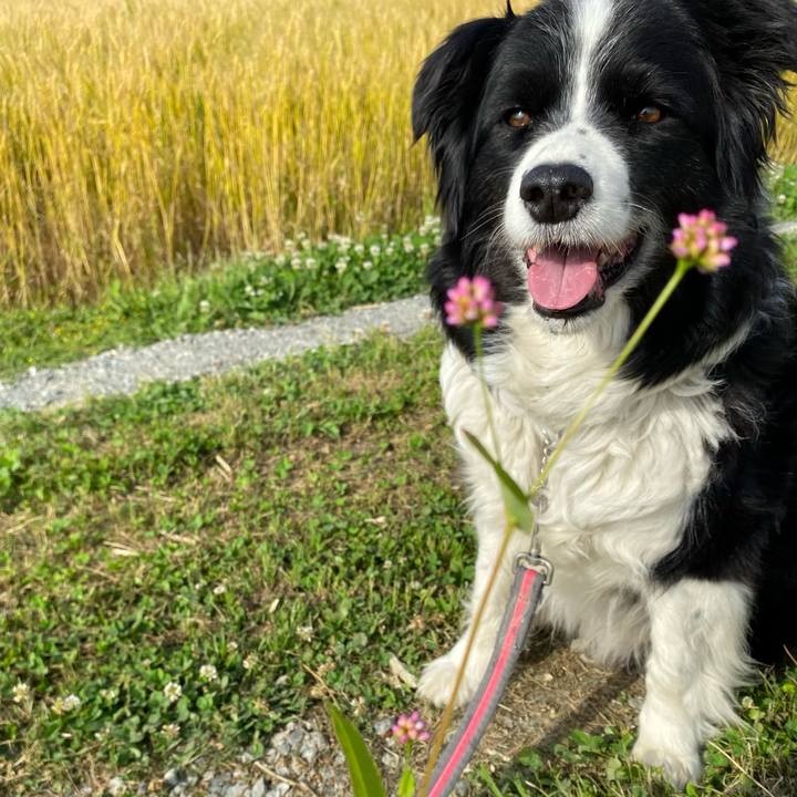 Aaaf27cb 1ae2 49aa ac26 c8b8164902a4 1620698332417