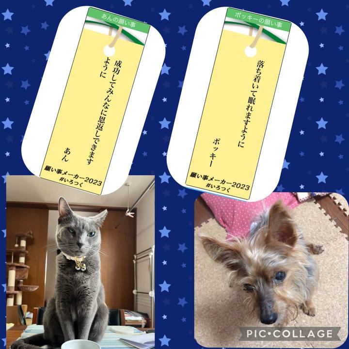 Aaaf5630 cc05 4fc0 a340 51a715e1f134 1688689780352