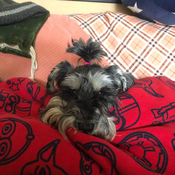 Aaaf8c0d 48c7 416e 8407 452400f8baac 1619330975098