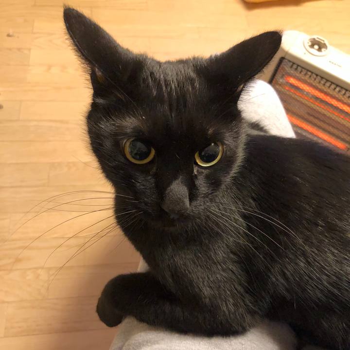 Aaaf949a 59c1 4d7c b4d5 f369d8c9198f 1548680450191