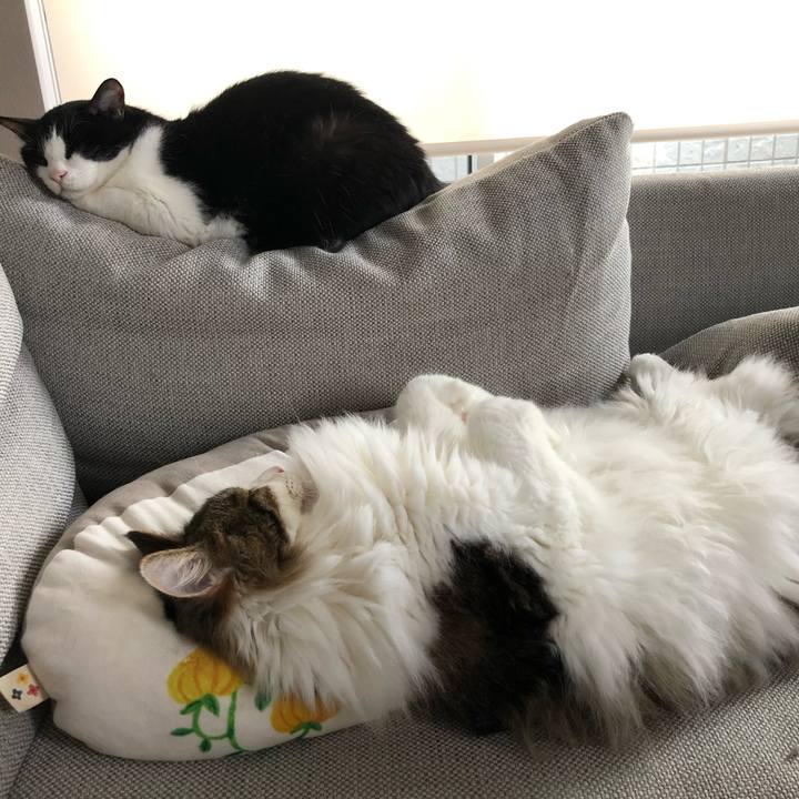 Aaafb369 d04e 4636 b0d3 e4499d961106 1625362158800