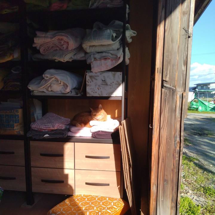 Aaafb49f e3d0 4b0a a0f3 8d56e47b4355 1697100086529