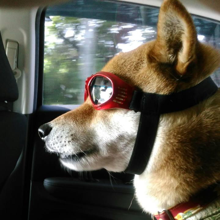 Aaafbc4f 2772 464c a17d c4418c094e36 1527377357896