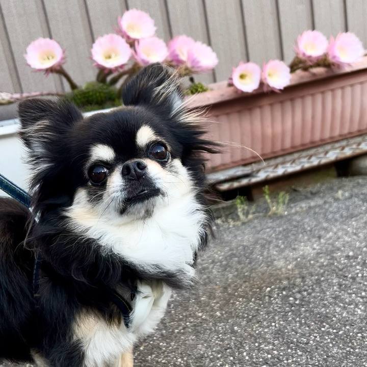 Aaafc213 606e 464c b610 77304c5daf89 1716591037007