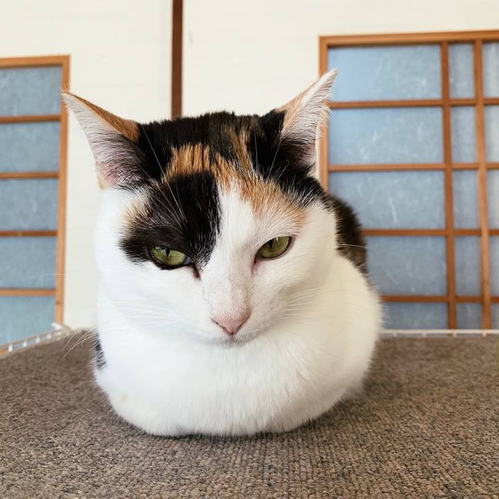 Aaafdcc5 bd0a 4546 938f 88662c4647d6 1556243841208